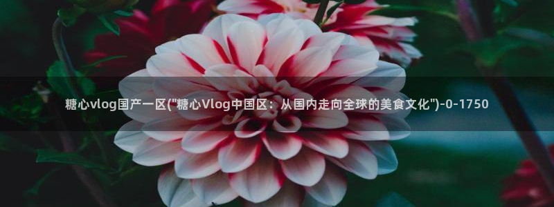 糖心viog