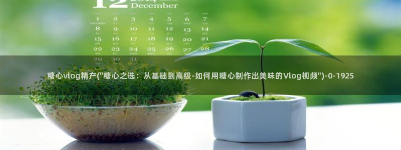糖心精品一区