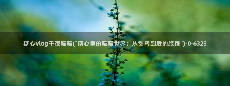 糖心lvong